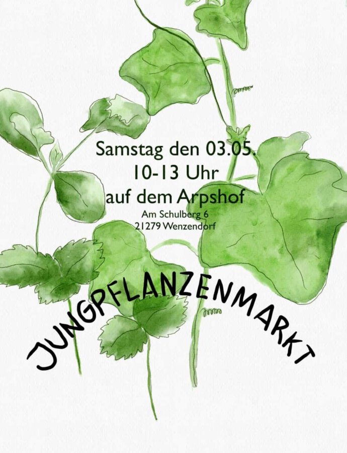 Jungpflanzenmarkt Samstag, 03.05. 🌱
