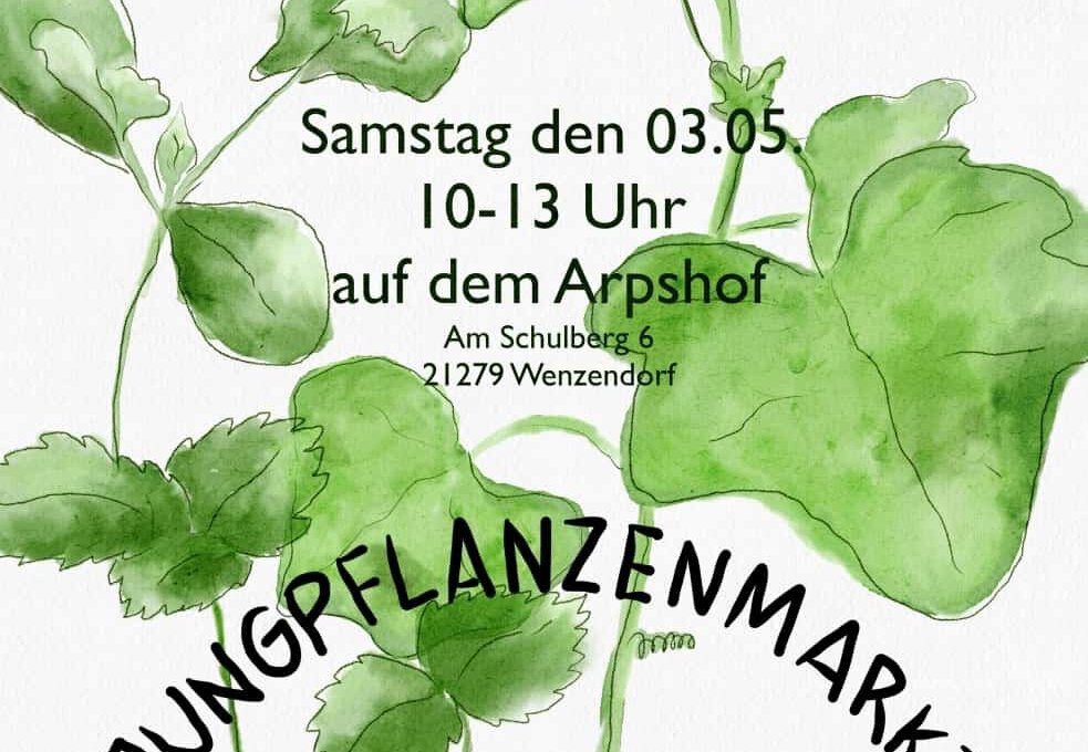 Jungpflanzenmarkt Samstag, 03.05. 🌱
